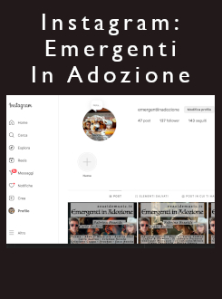 Instagram: Emergenti in Adozione